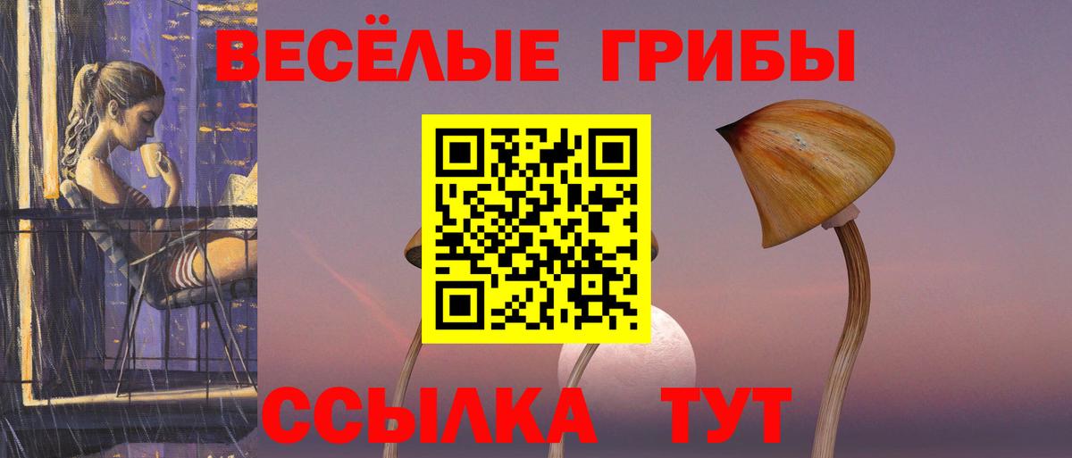 Псилоцибиновые грибы Magic Shrooms  Вход с VPN  Славгород 